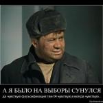 Et je me suis mélé des élections