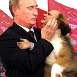 Tu es ma petite opposition