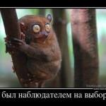 Il était observateur aux élections