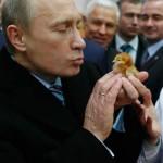 Vladimir Poutine et un petit poussin