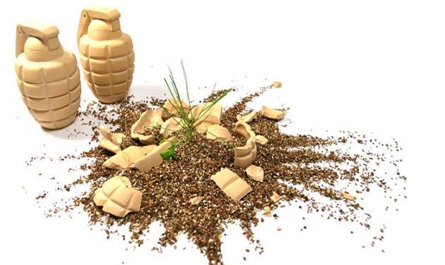 La Guerrilla gardening en quelques mots …