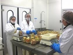 Agde propose une activité d'insertion par l'emploi, notamment dans l'agroalimentaire © Agde