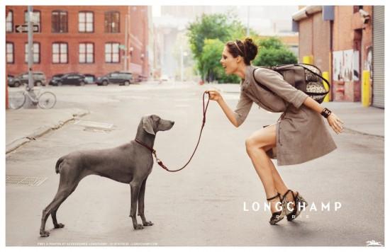 longchamps oh my dog 550x356 Danser sa vie avec Longchamp : Oh! my dog