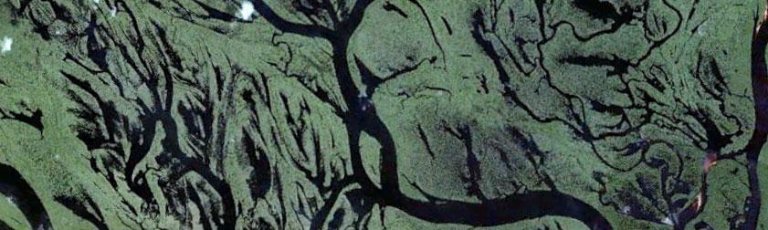 LE MOUCHING AU BRESIL – BARCELOS part. 2