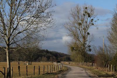 Vallée de la Meuse entre Sauvigny et Burey-la-Côte