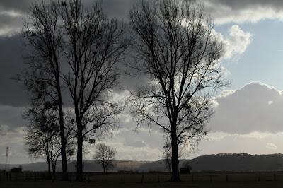 Vallée de la Meuse entre Sauvigny et Burey-la-Côte
