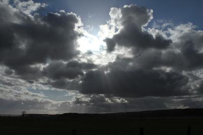 Vallée de la Meuse entre Sauvigny et Burey-la-Côte