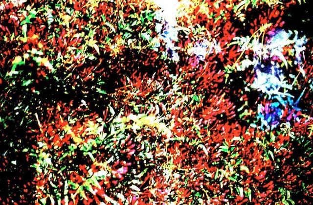 Colours – In The Summer