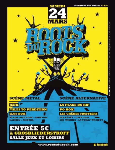 Le festival Roots du Rock 4