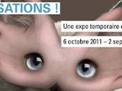 Jusqu'au 02/09 Sensations! Musée Sciences Naturelles