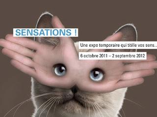 Jusqu'au 02/09 - Sensations! - Musée des Sciences Naturelles