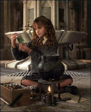Harry-Potter-et-la-chambre-des-secrets-2736