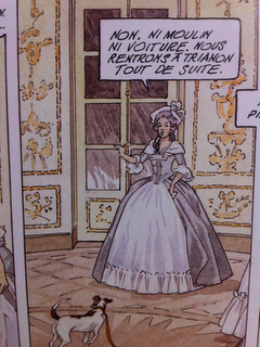 J'ai lu... la BD Marie-Antoinette, la reine fantôme J'ai lu... la BD Marie-Antoinette, la reine fantôme
