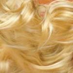 société,journal intime,nouvelles et textes brefs,écriture,livres