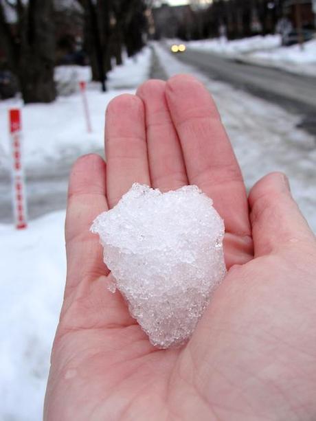 LA PHOTO DE LA SEMAINE #8 (TEASER INSIDE) LA PHOTO DE LA SEMAINE #8 (TEASER INSIDE)