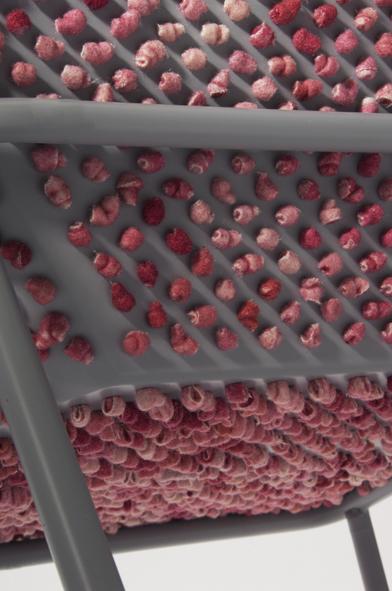 Blush Chair - Sofie Brünner - 5