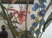 Démarche réussie logement attribué décembre 2011