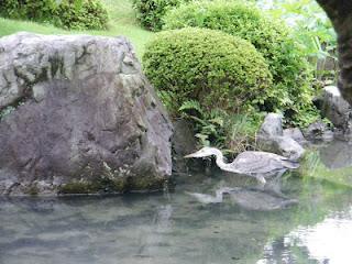 Suite de mes photos de mon voyages au Japon en Août 2009