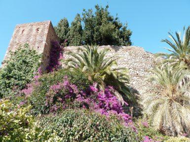 P1020656 J’ai testé pour vous…