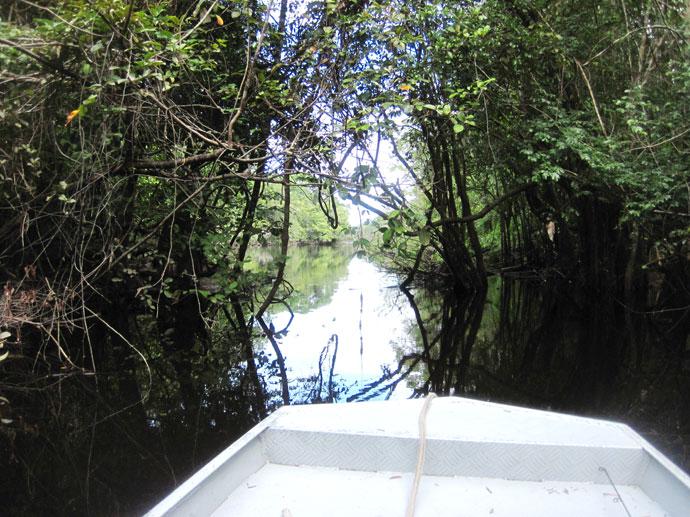 LE MOUCHING AU BRESIL – BARCELOS part. 3