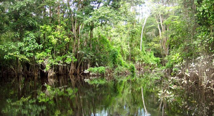 LE MOUCHING AU BRESIL – BARCELOS part. 3