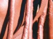 perception ethnique couleurs