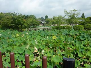 Suites des photos du Japon en Août 2009