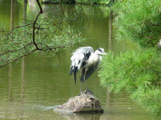Suites des photos du Japon en Août 2009