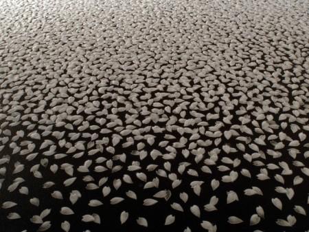 Motoi Yamamoto : l’art avec du sel