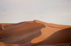 Dune001.jpg