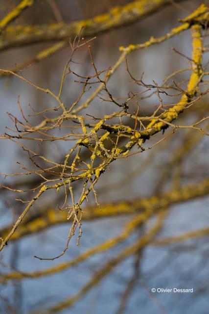 déclinaison de couleurs le long de l'Allier