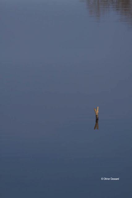 déclinaison de couleurs le long de l'Allier