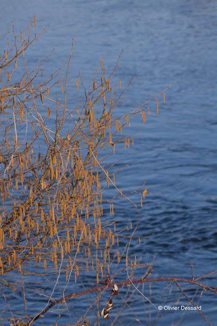 déclinaison de couleurs le long de l'Allier
