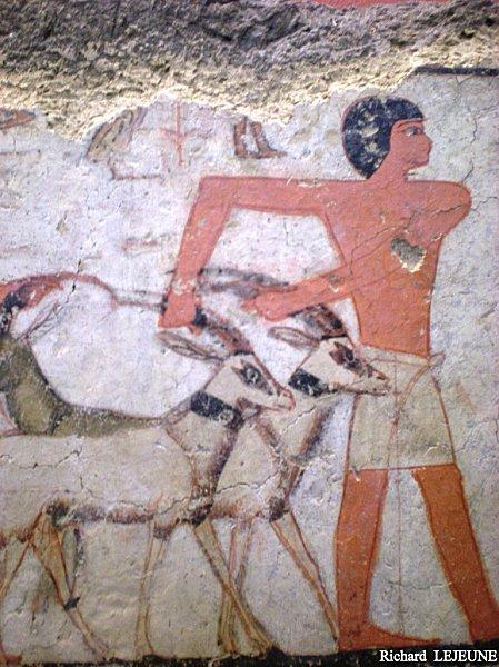 Fragment E 25512 (1er personnage du défilé des oryx et autres gazelles) Fragment E 25512 (1er personnage) (2011)