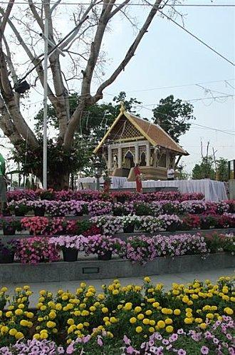 2012-03-05 02-33-50 - DSCF1213 (Medium)