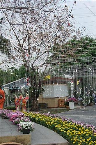 2012-03-03 02-21-51 - DSCF1204 (Medium)