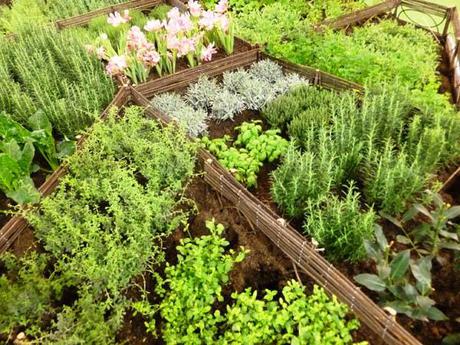Ateliers jardins du Salon de l’Agriculture