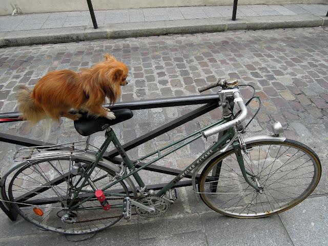 Vélos testés et approuvés !