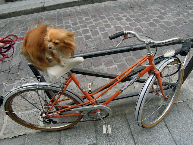 Vélos testés et approuvés !