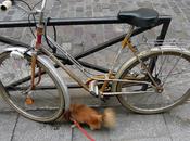 Vélos testés approuvés