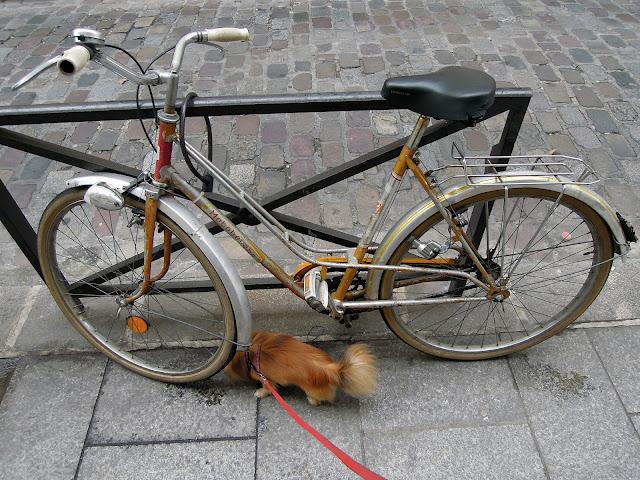 Vélos testés et approuvés !