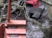 Test Lytro, appareil photo numérique plénoptique