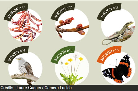 Le site du mercredi : Missions Printemps