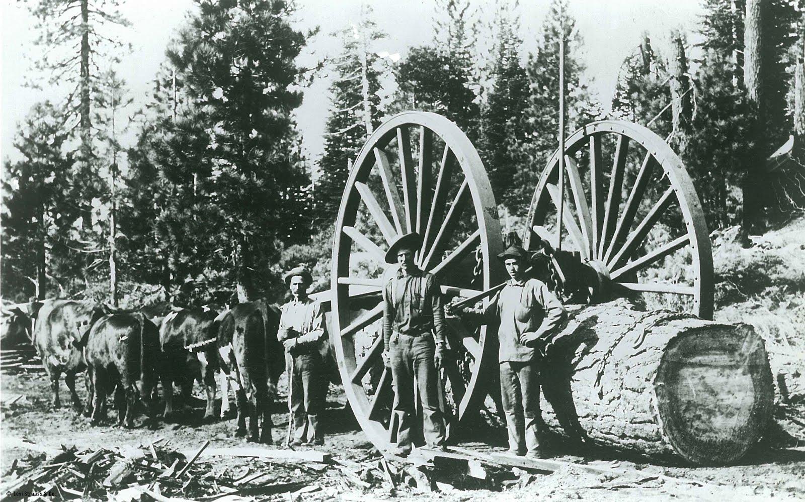 LEVI'S VINTAGE CLOTHING