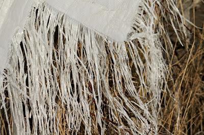 Tas de bois et filaments