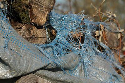 Tas de bois et filaments