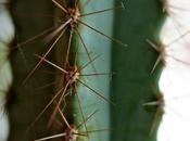 est: renonce droits parentaux...