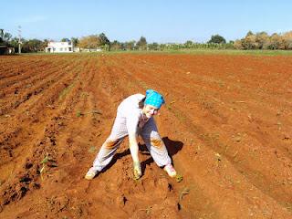 Entretien post-retour avec Joanie