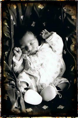 Toujours peu d'avancée au jardin par manque de temps mais...