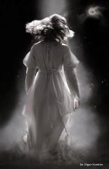 littérature; roman; livres